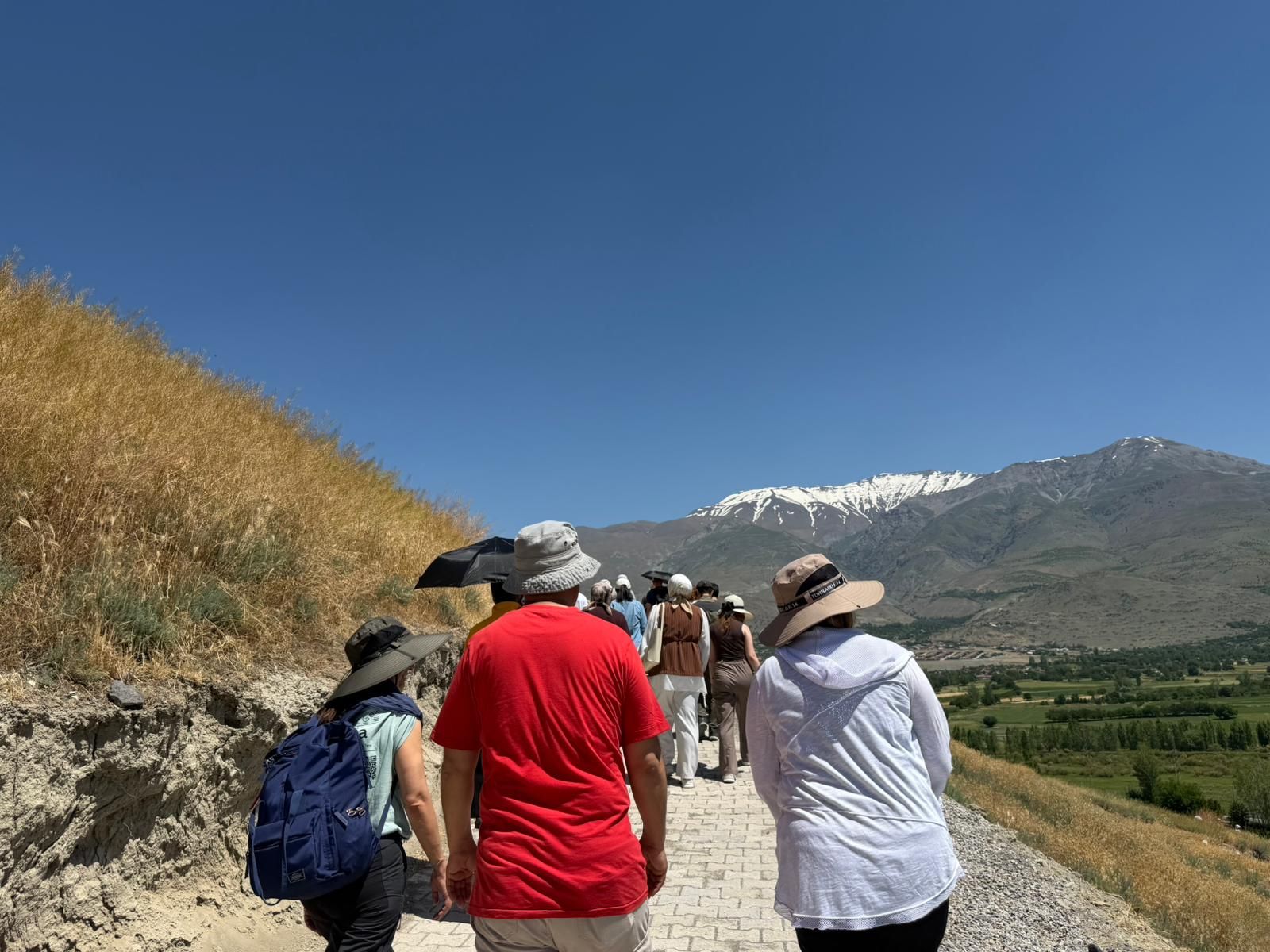 Altıntepe ve Volkanik Domlar