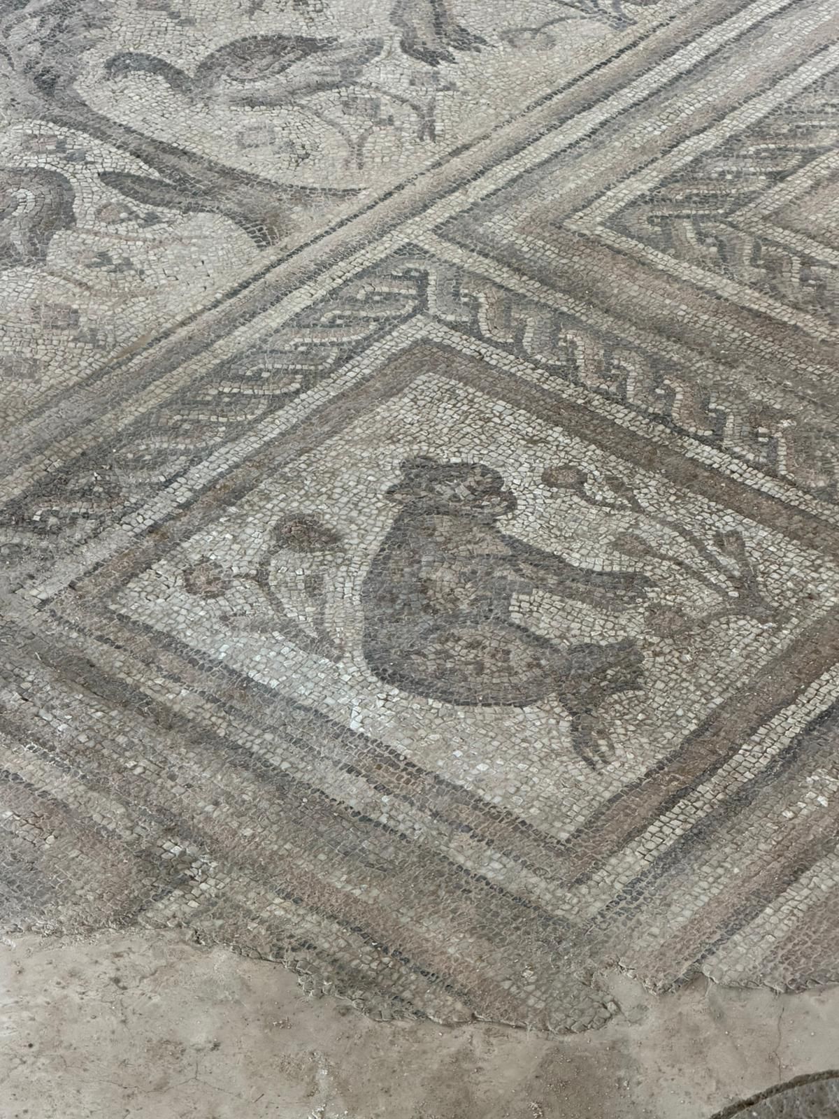 Altıntepe ve Volkanik Domlar