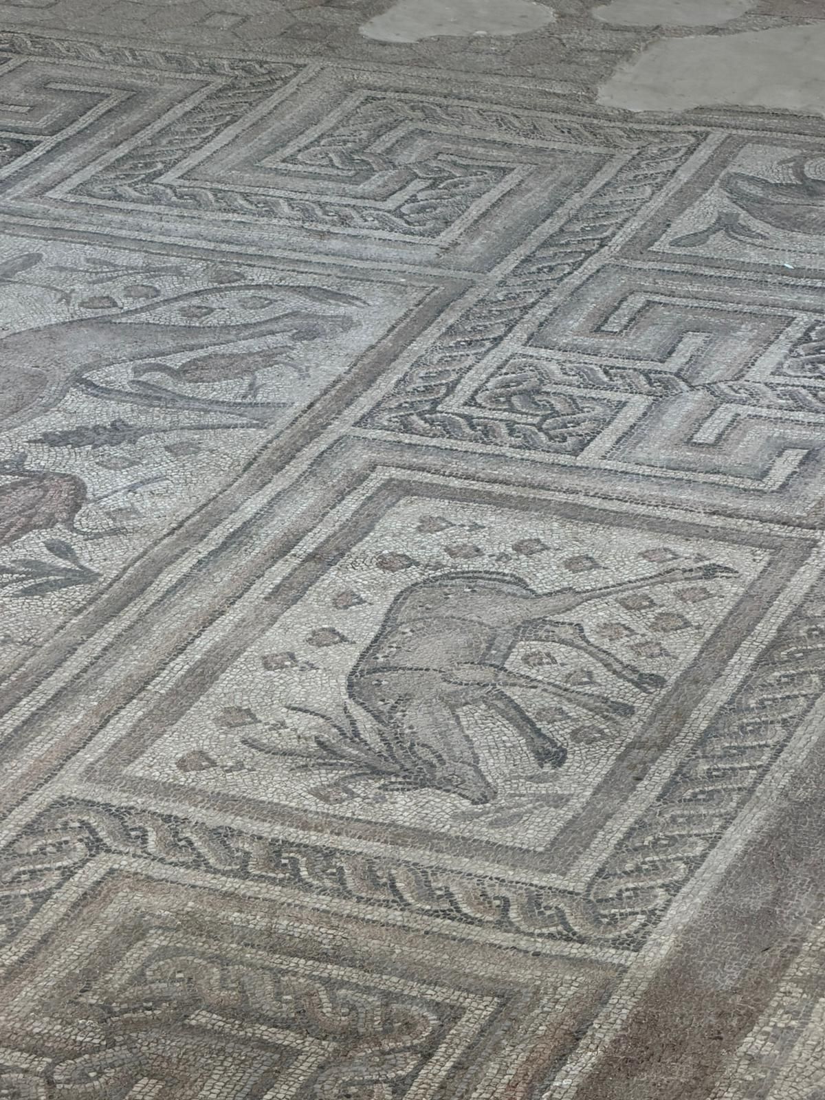 Altıntepe ve Volkanik Domlar