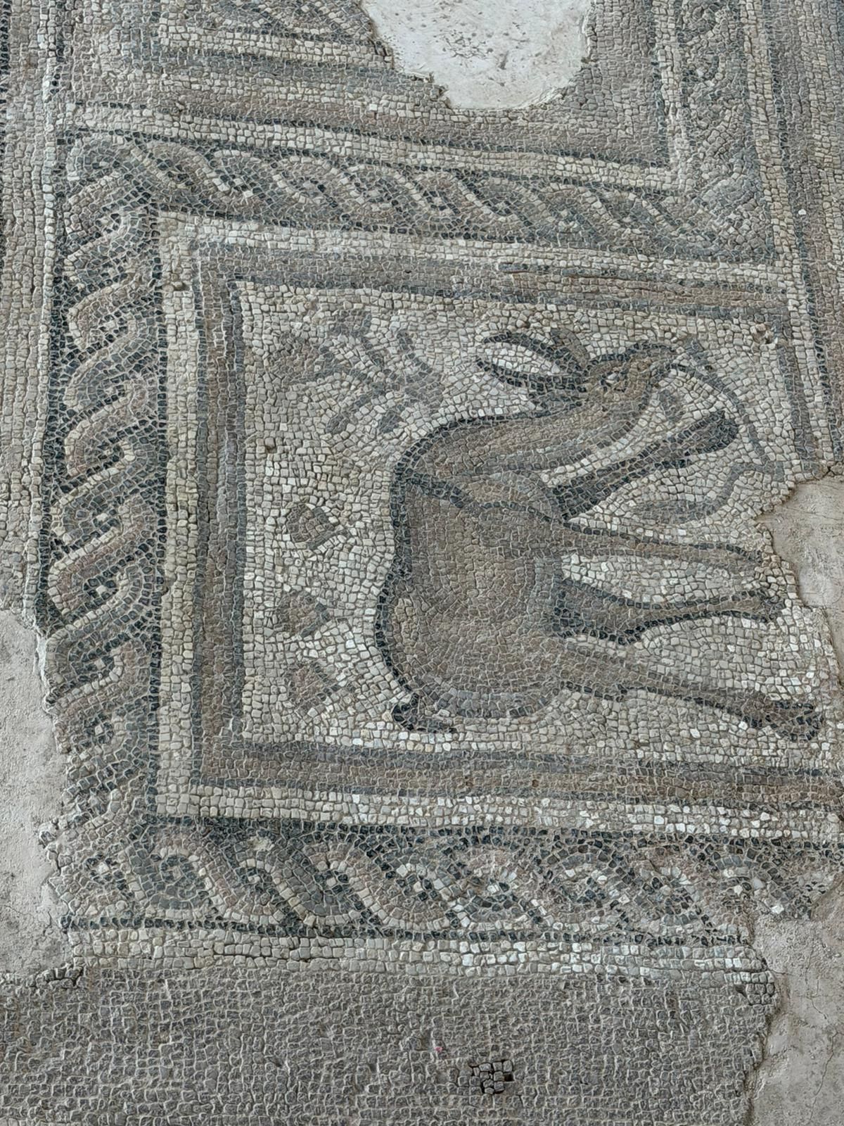 Altıntepe ve Volkanik Domlar