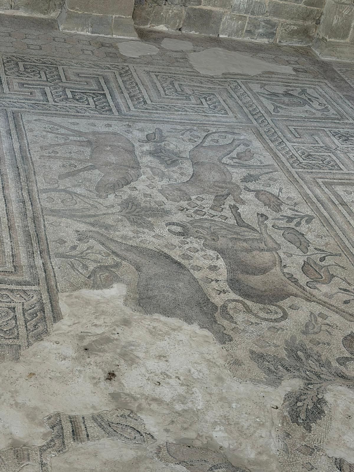 Altıntepe ve Volkanik Domlar