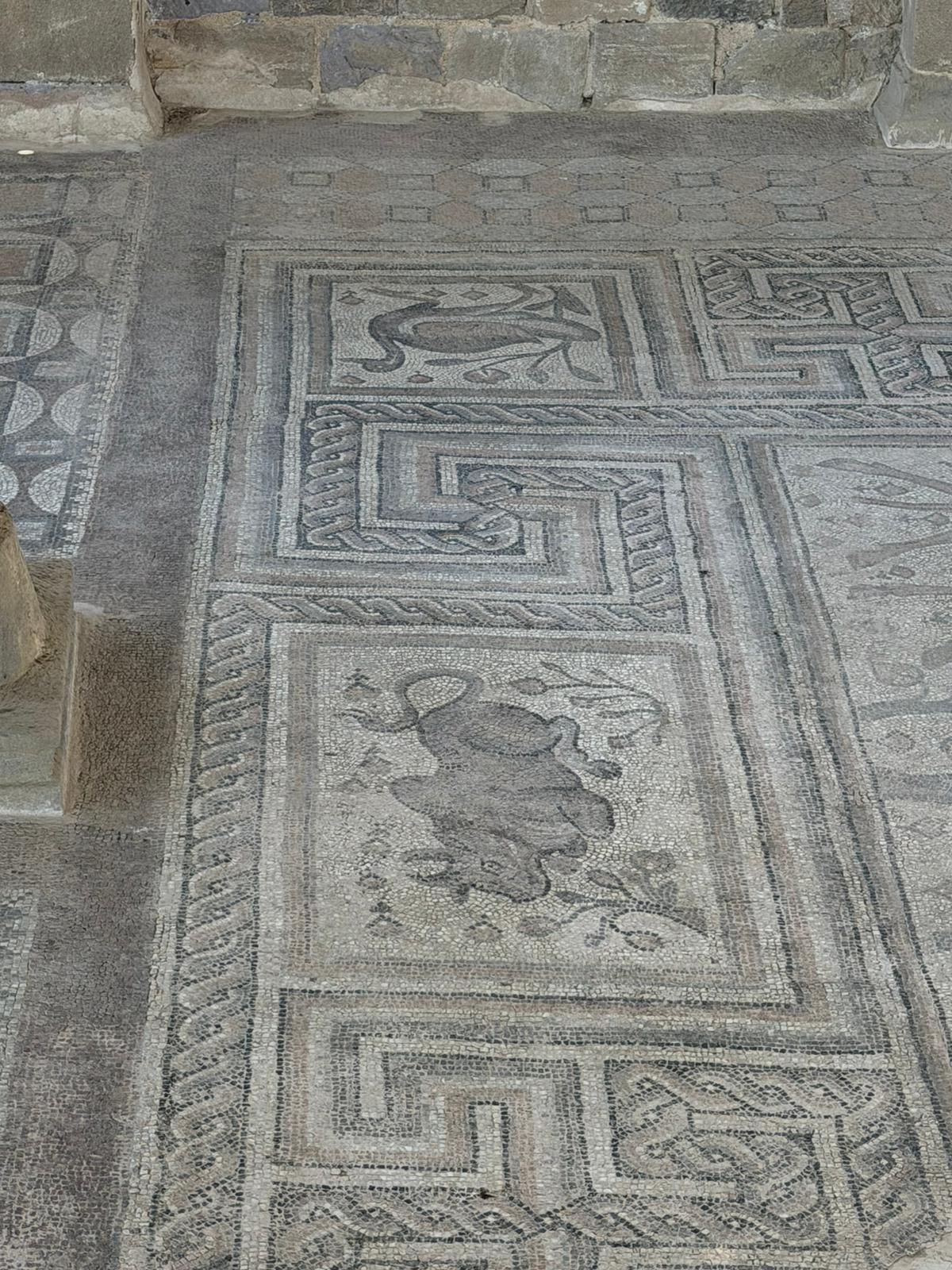 Altıntepe ve Volkanik Domlar