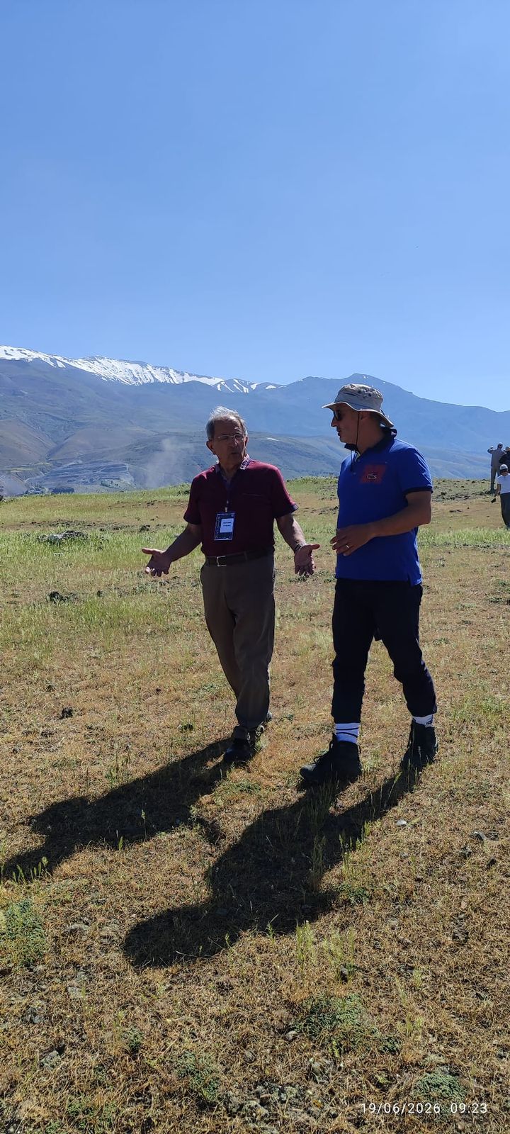 Altıntepe ve Volkanik Domlar