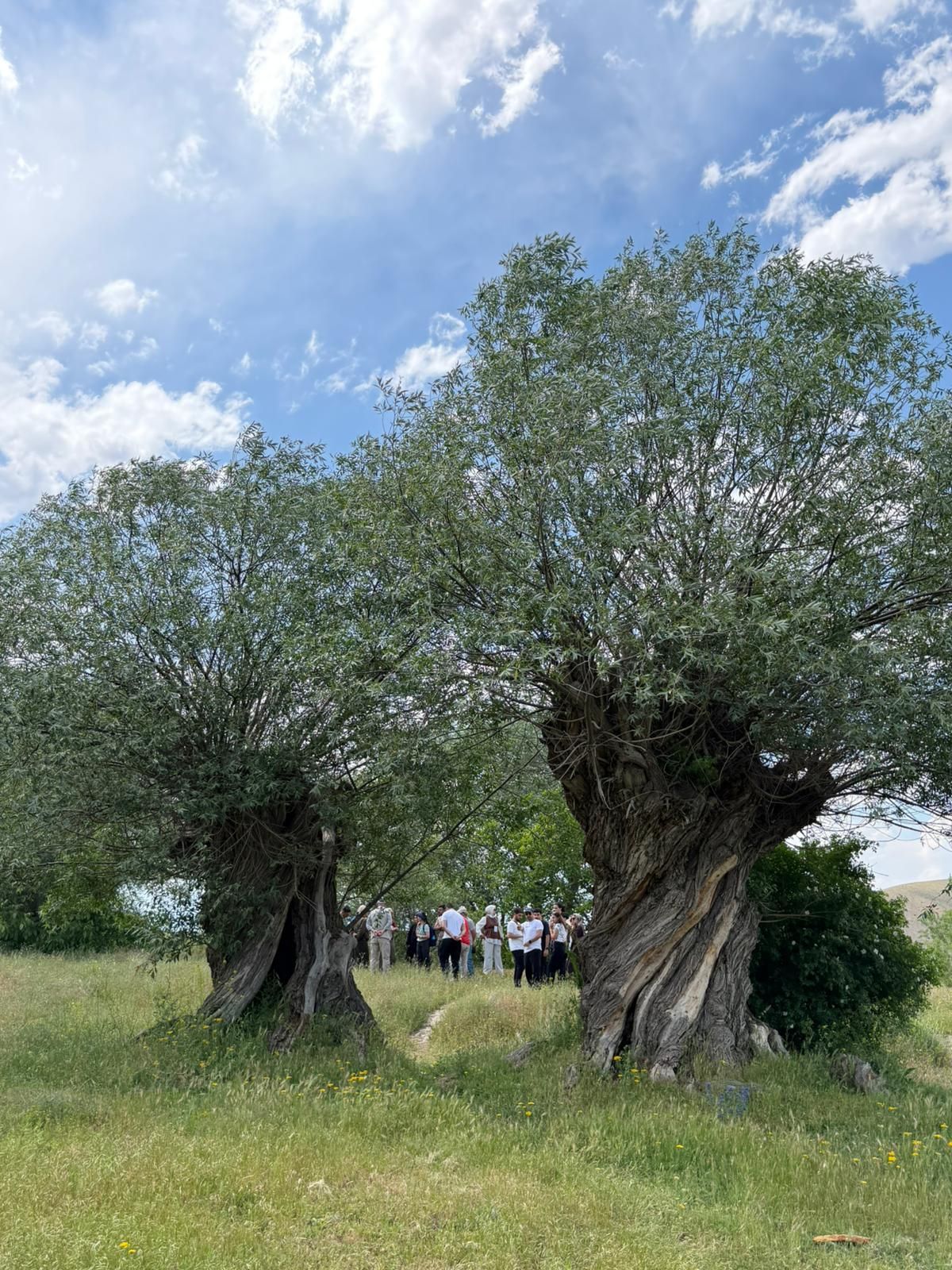 Çağlayan
